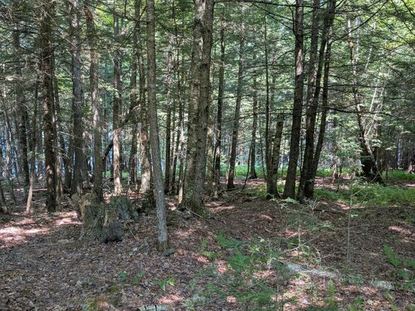 Lot #8 Kolm Lane, Garland, ME 04939