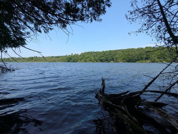 Lot #8 Kolm Road, Garland, ME 04939