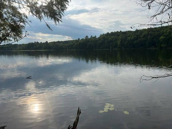Lot #8 Kolm Road, Garland, ME 04939
