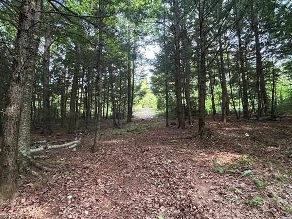 Lot #8 Kolm Road, Garland, ME 04939