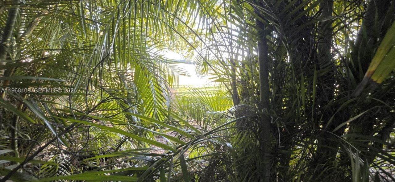 5769 NW 99th Ave, Doral, FL 33178 Photo