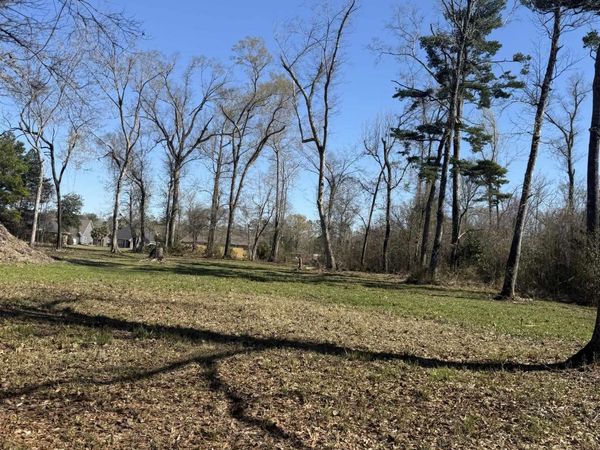 20316 Sophia Noel Dr, Springfield, LA 70462