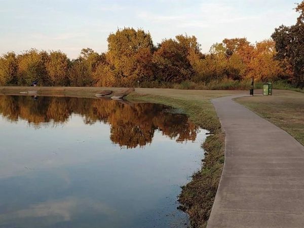 1728 Flamingo Drive, Little Elm, TX 75068