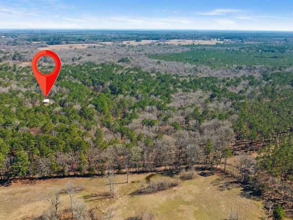 TBD #2 County Road 2237 , Bagwell, TX 75412