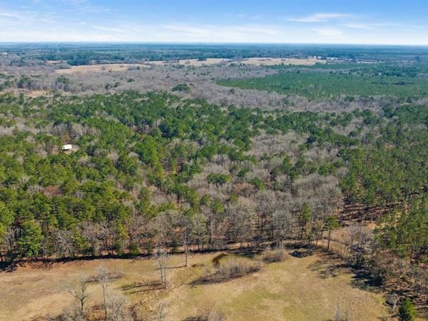 TBD County Road 2237 , Bagwell, TX 75412