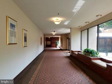 3709 GEORGE MASON DRIVE S, Unit 710 EAST, FALLS CHURCH, VA 22041