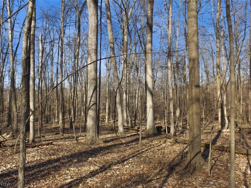 0 Chatham Road, Spencer, OH 44275 Photo 11