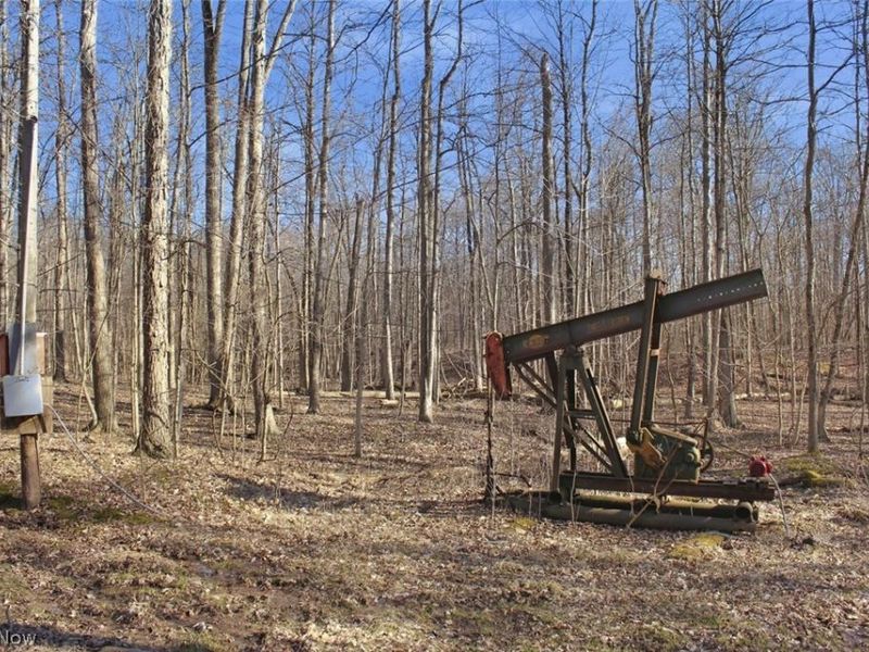 0 Chatham Road, Spencer, OH 44275 Photo 13