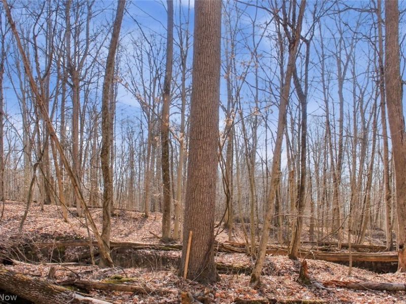 0 Chatham Road, Spencer, OH 44275 Photo 14