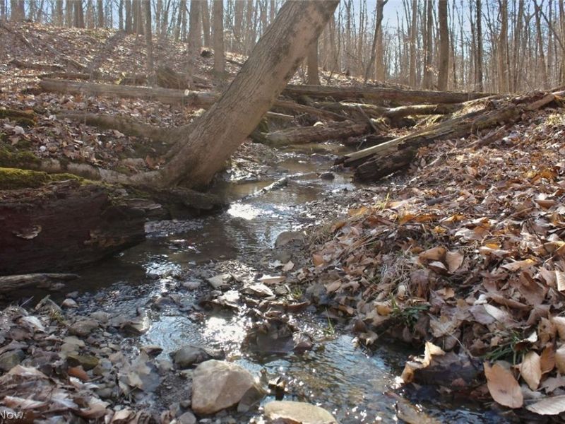 0 Chatham Road, Spencer, OH 44275 Photo 15