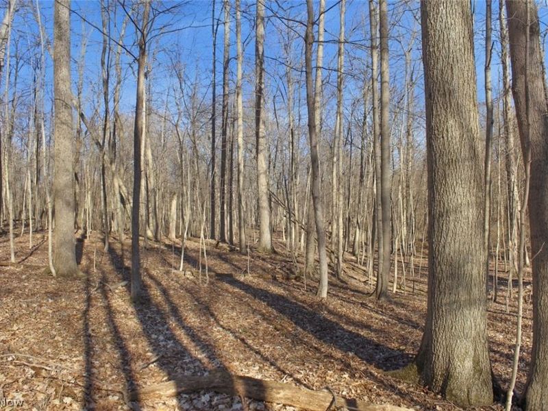 0 Chatham Road, Spencer, OH 44275 Photo 16