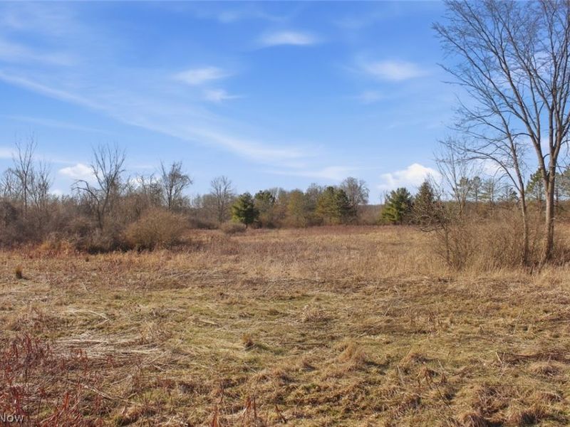 0 Chatham Road, Spencer, OH 44275 Photo 18