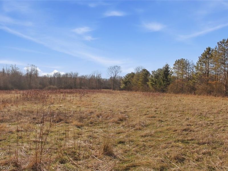 0 Chatham Road, Spencer, OH 44275 Photo 19