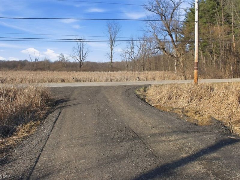 0 Chatham Road, Spencer, OH 44275 Photo 2