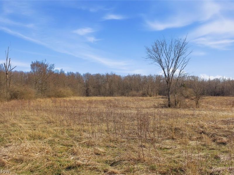 0 Chatham Road, Spencer, OH 44275 Photo 20