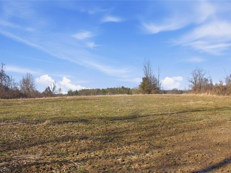 0 Chatham Road, Spencer, OH 44275 Photo 21