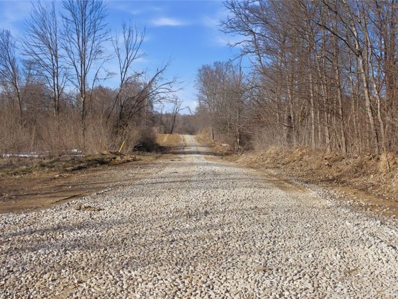 0 Chatham Road, Spencer, OH 44275 Photo 22