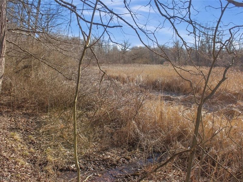 0 Chatham Road, Spencer, OH 44275 Photo 24