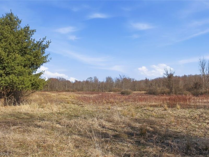 0 Chatham Road, Spencer, OH 44275 Photo 26