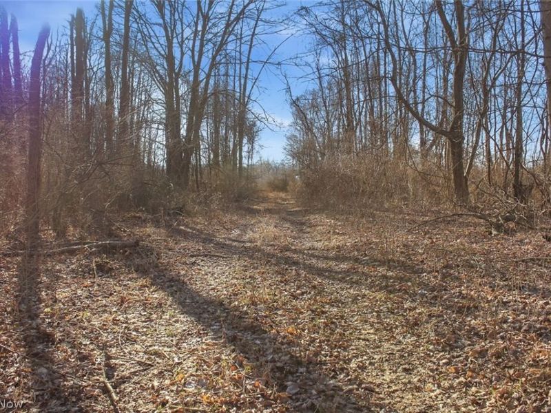 0 Chatham Road, Spencer, OH 44275 Photo 27