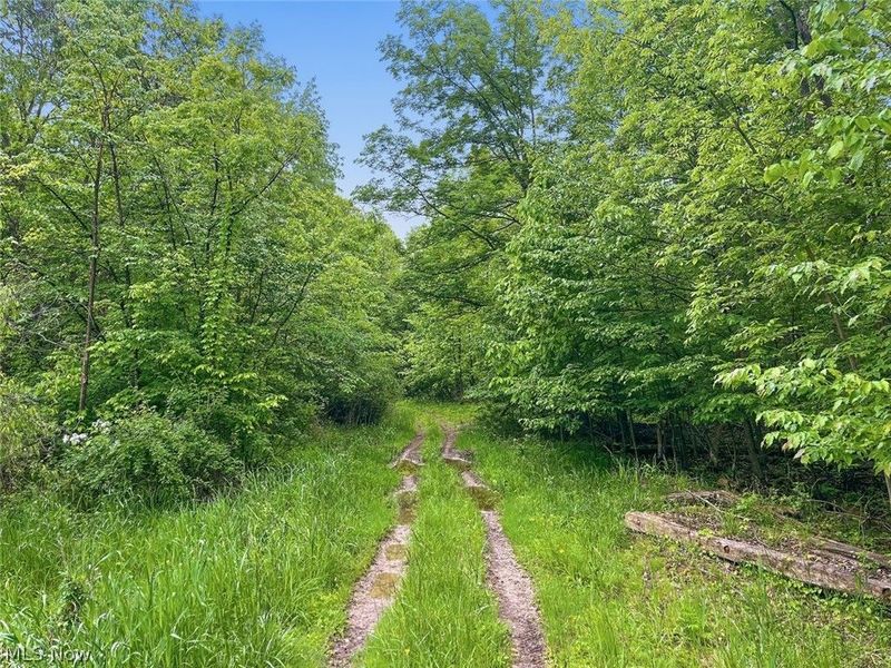 0 Chatham Road, Spencer, OH 44275 Photo 28