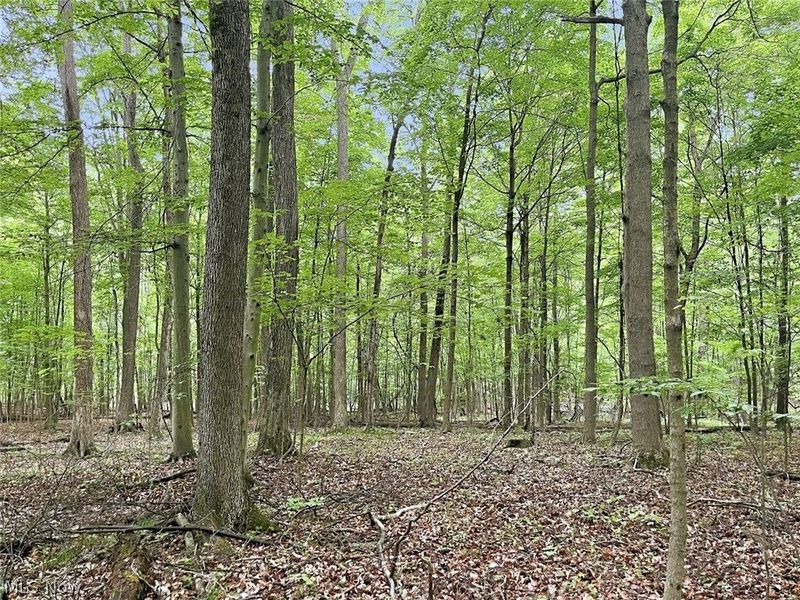 0 Chatham Road, Spencer, OH 44275 Photo 29