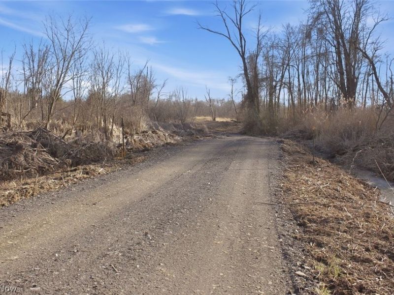 0 Chatham Road, Spencer, OH 44275 Photo 3