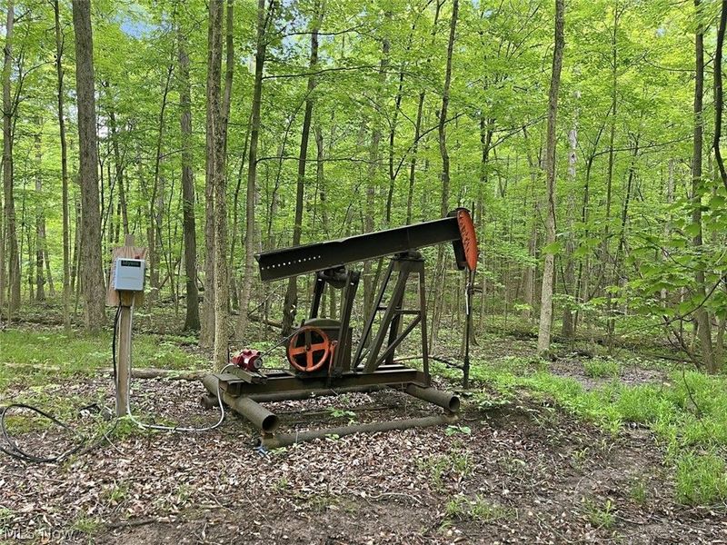 0 Chatham Road, Spencer, OH 44275 Photo 30