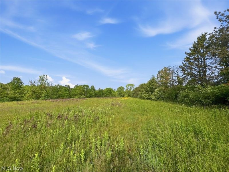 0 Chatham Road, Spencer, OH 44275 Photo 31