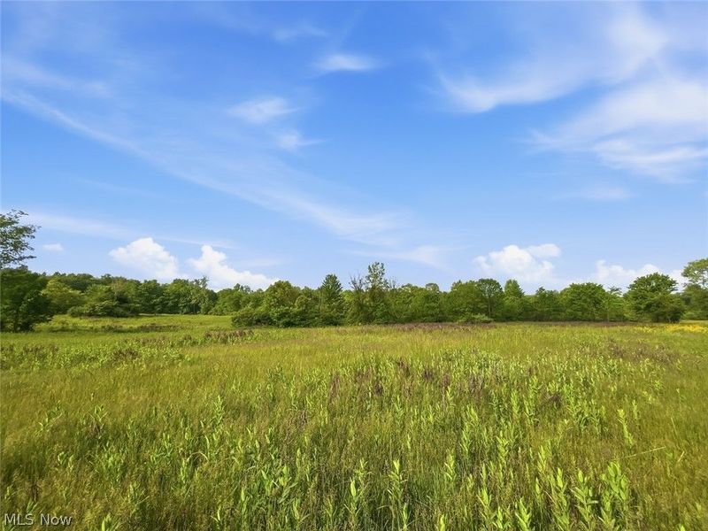 0 Chatham Road, Spencer, OH 44275 Photo 32