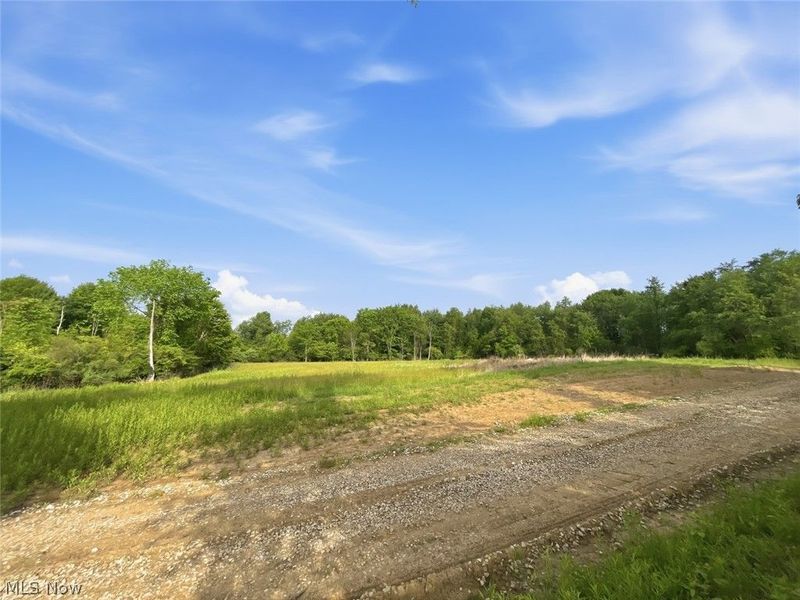 0 Chatham Road, Spencer, OH 44275 Photo 33