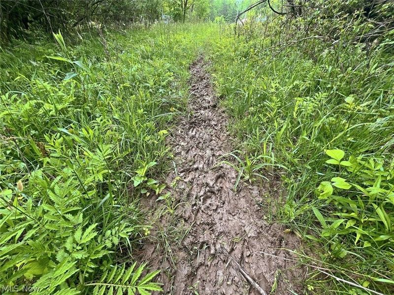 0 Chatham Road, Spencer, OH 44275 Photo 36