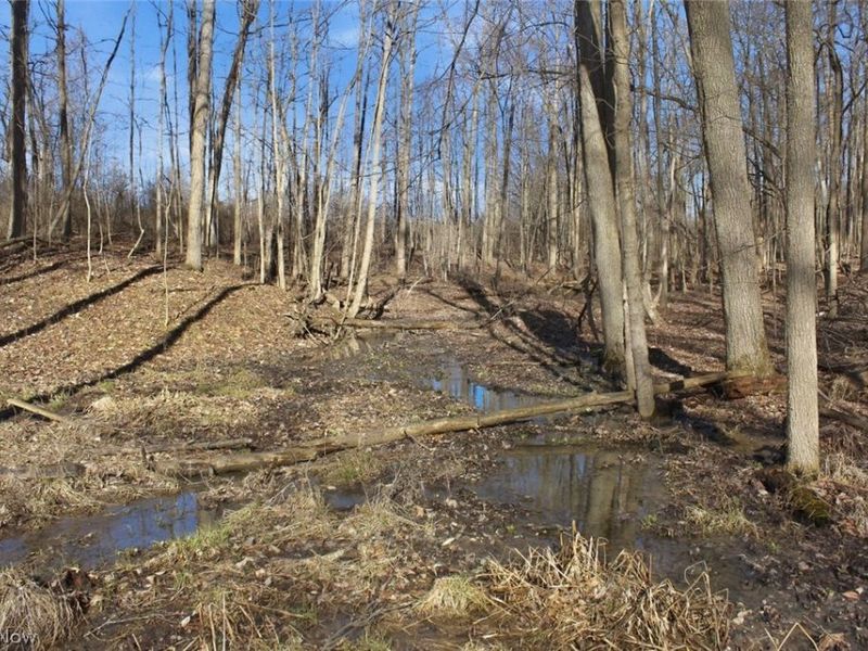 0 Chatham Road, Spencer, OH 44275 Photo 37