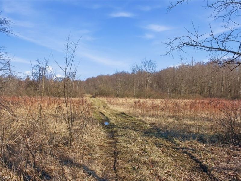 0 Chatham Road, Spencer, OH 44275 Photo 5