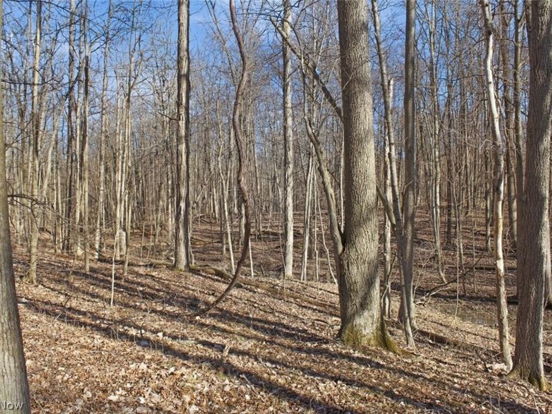 0 Chatham Road, Spencer, OH 44275 Photo 8