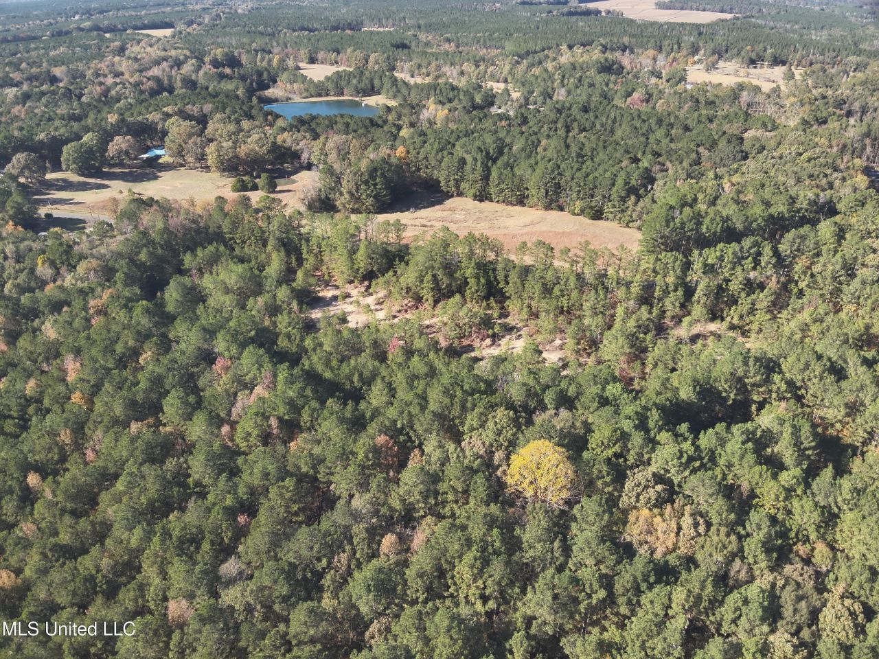 0 Barefoot Springs Road, Pelahatchie, MS 39145 Main Photo