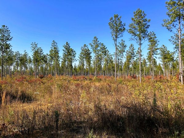 Tract 12 Hughes Lake Road SE, Cleveland, TN 37323