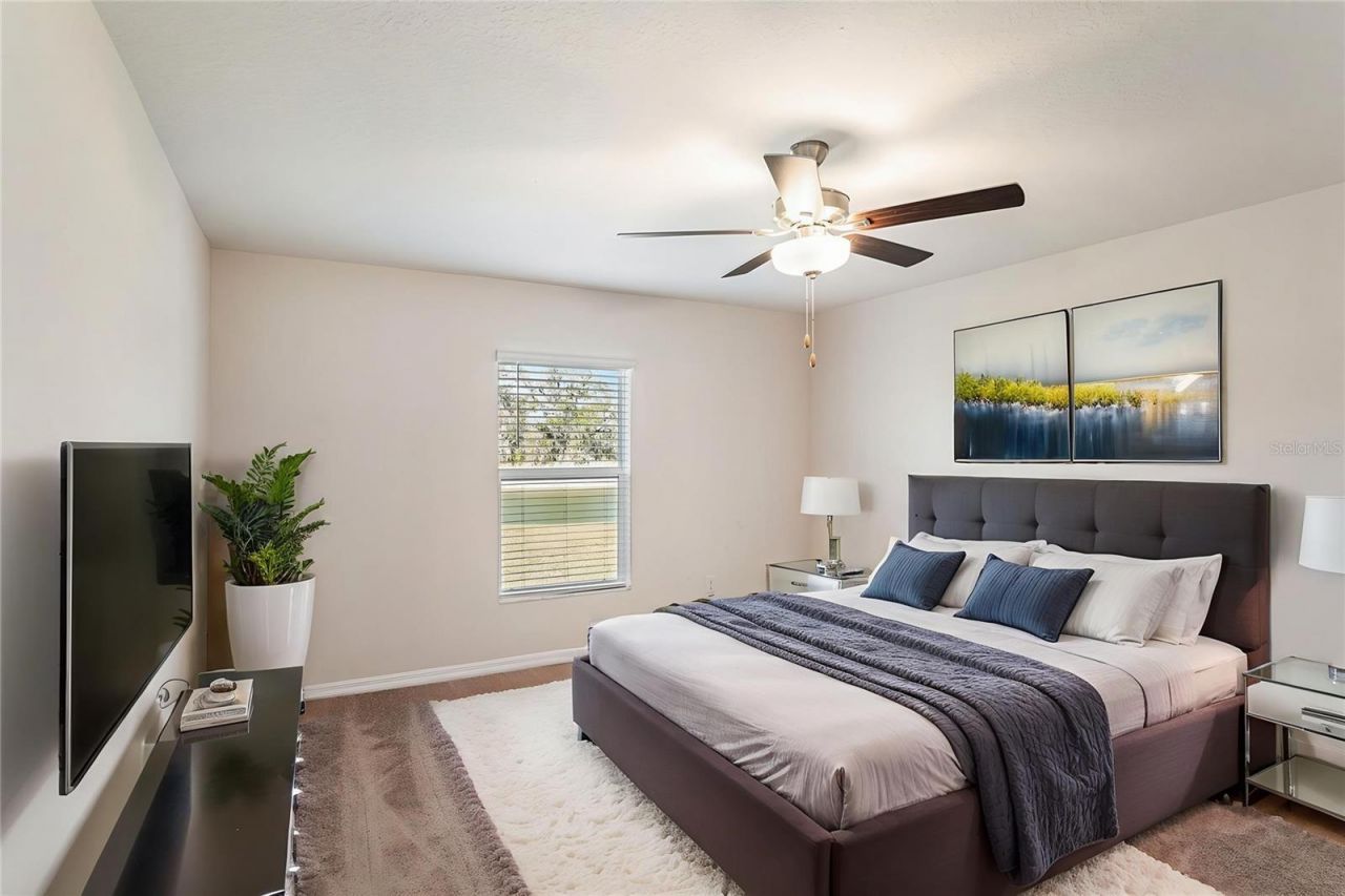 6523 Bar S Bar Trail, Zephyrhills, FL 33541 Photo