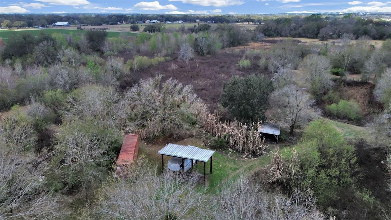 9924 Art Acres Road, Dover, FL 33527 Photo