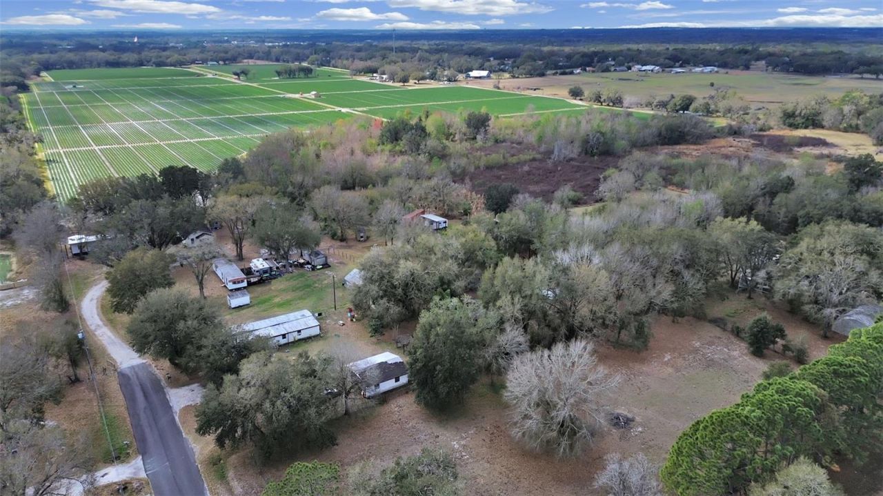 9924 Art Acres Road, Dover, FL 33527 Photo