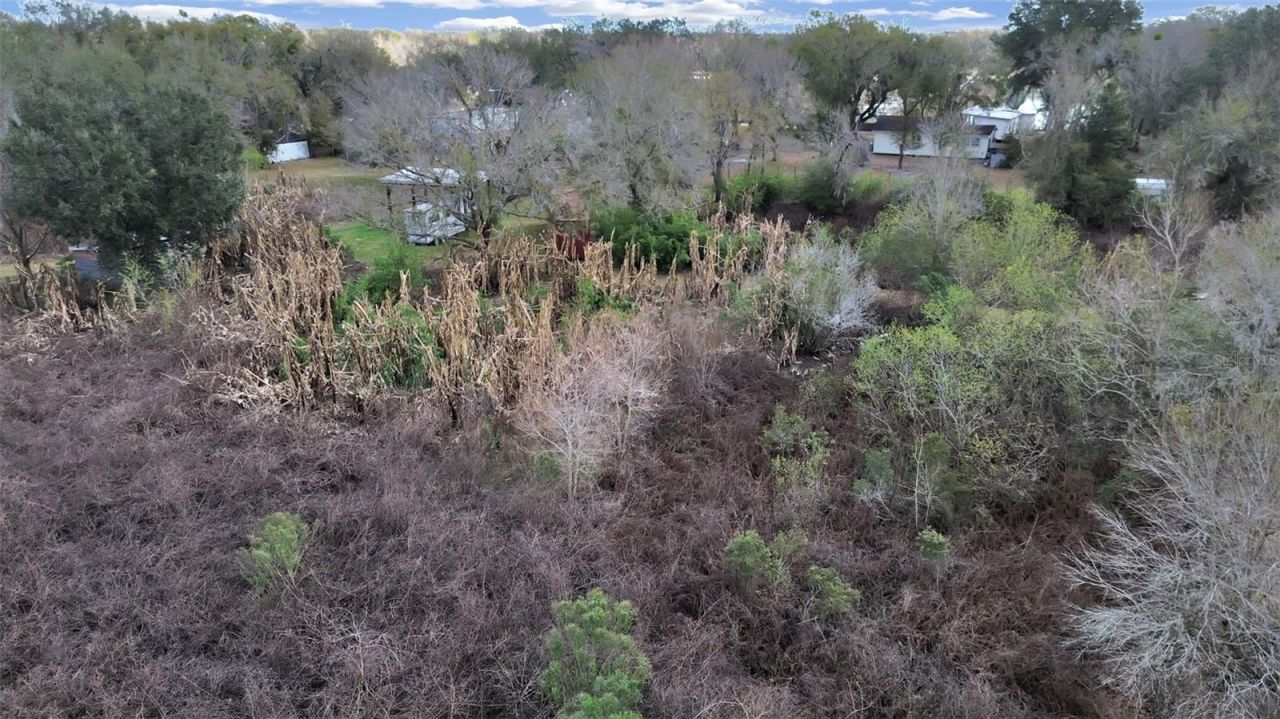 9924 Art Acres Road, Dover, FL 33527 Photo