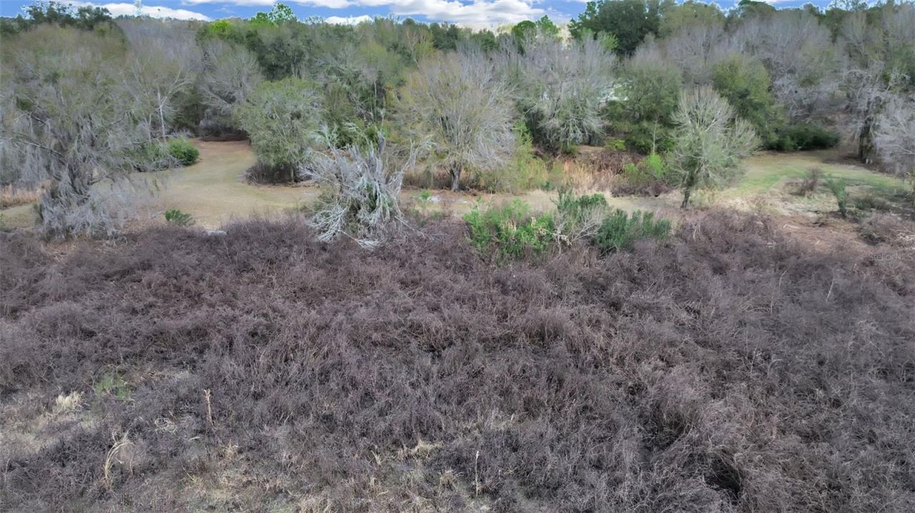 9924 Art Acres Road, Dover, FL 33527 Photo