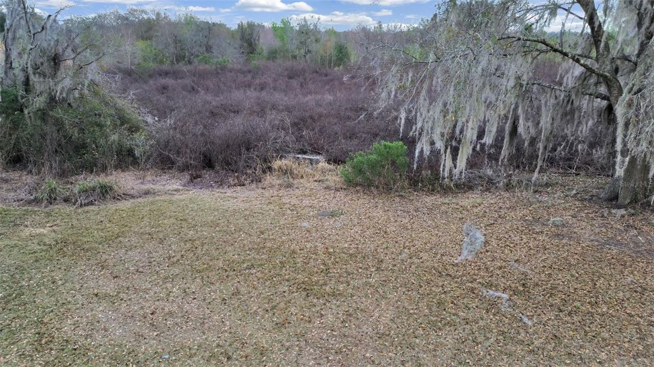 9924 Art Acres Road, Dover, FL 33527 Photo