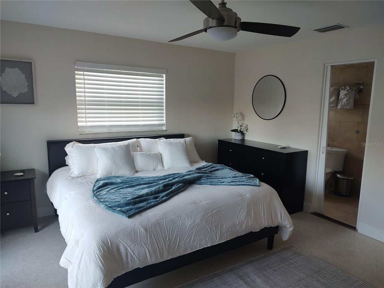 4165 13th Lane Ne, Saint Petersburg, FL 33703 Photo