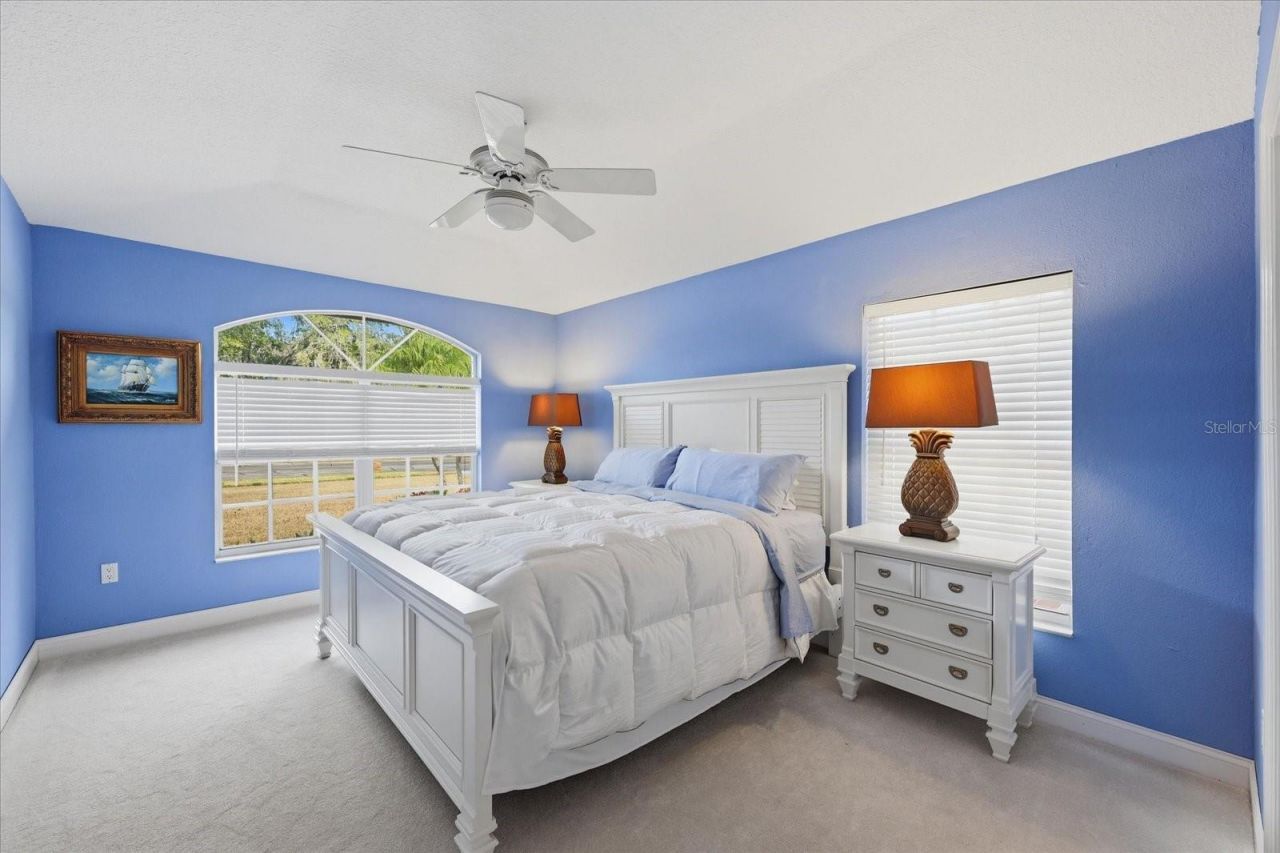 3196 Crescent Oaks Boulevard, Tarpon Springs, FL 34688 Photo