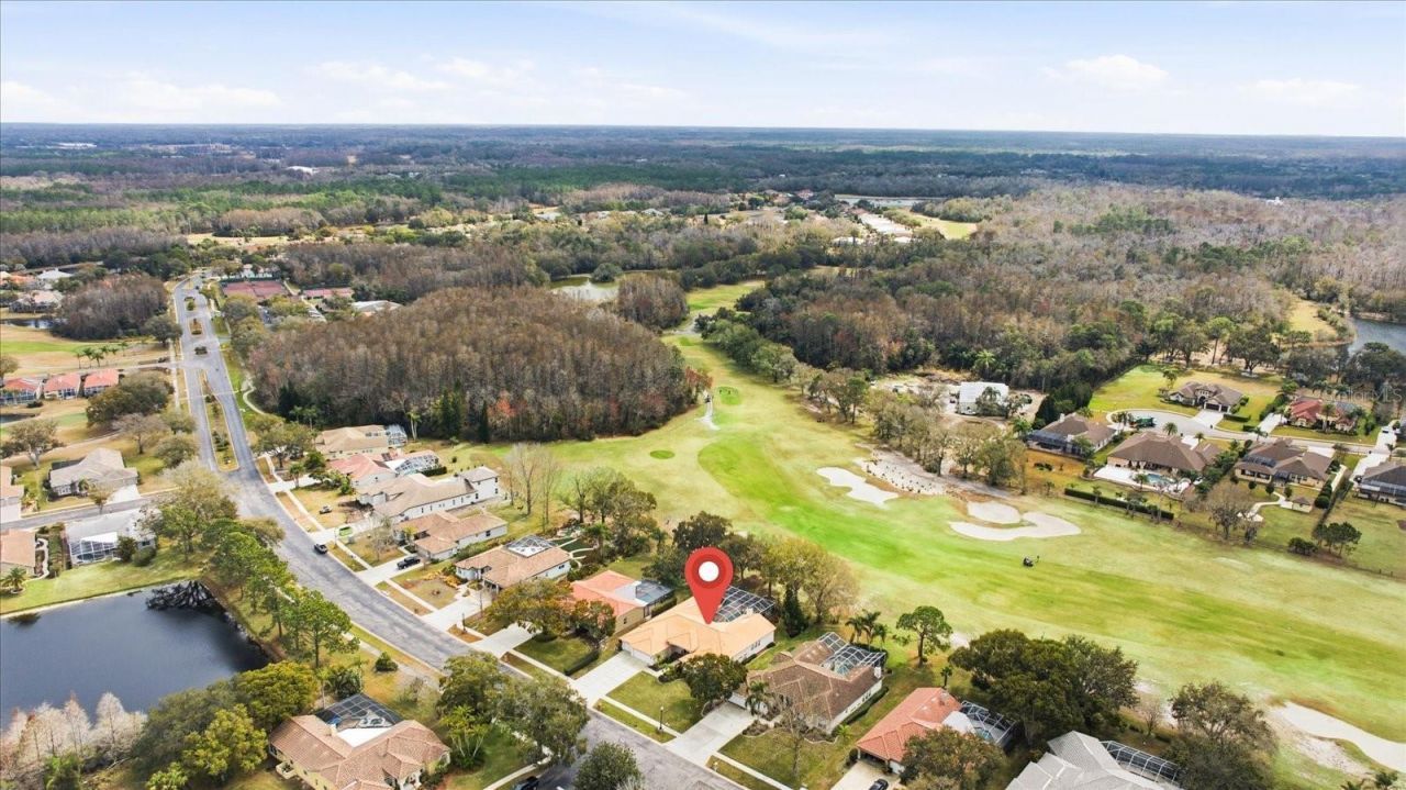 3196 Crescent Oaks Boulevard, Tarpon Springs, FL 34688 Photo