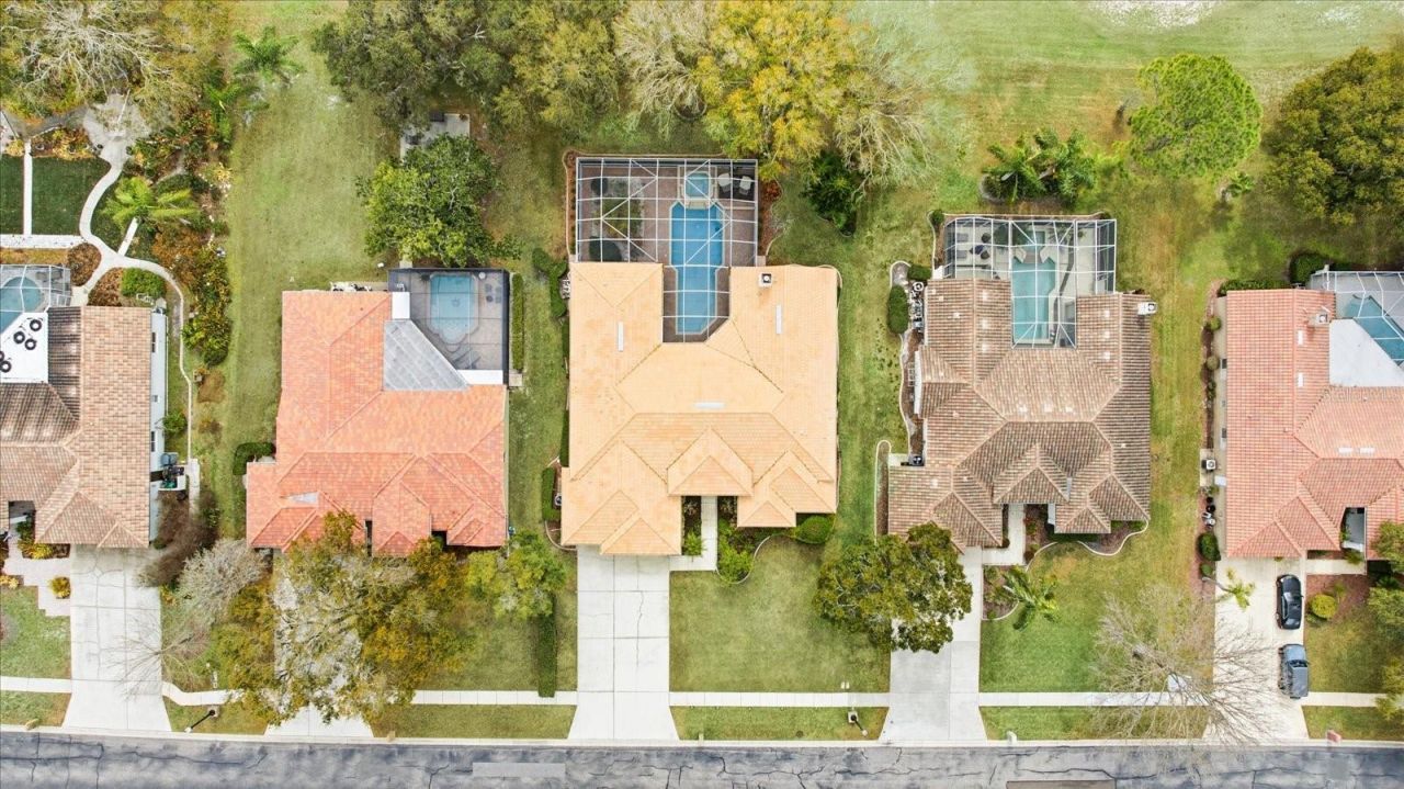 3196 Crescent Oaks Boulevard, Tarpon Springs, FL 34688 Photo