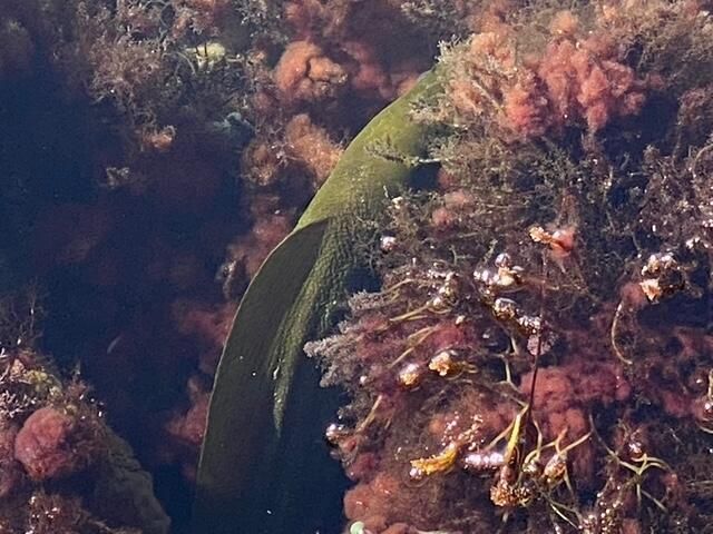 406 S Coconut Palm Boulevard, Tavernier, FL 33070 Photo