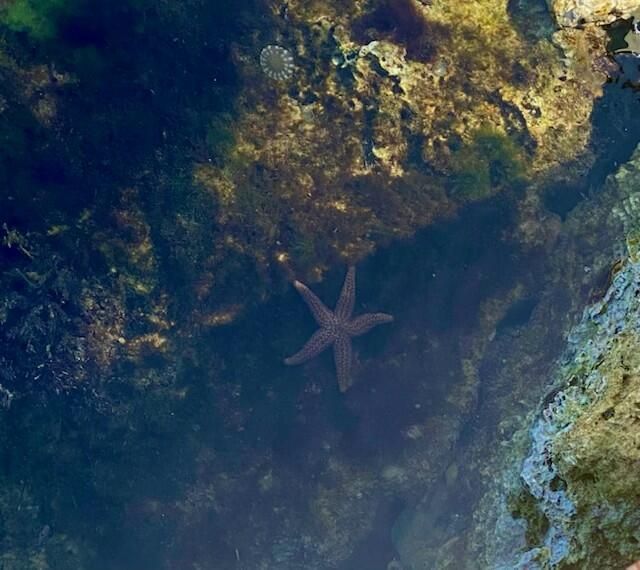 406 S Coconut Palm Boulevard, Tavernier, FL 33070 Photo