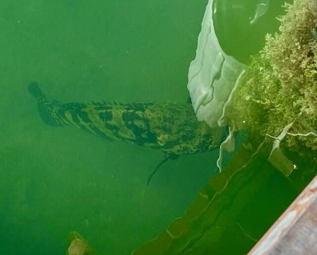 406 S Coconut Palm Boulevard, Tavernier, FL 33070 Photo